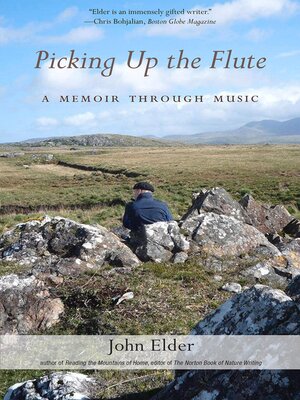 cover image of Picking Up the Flute